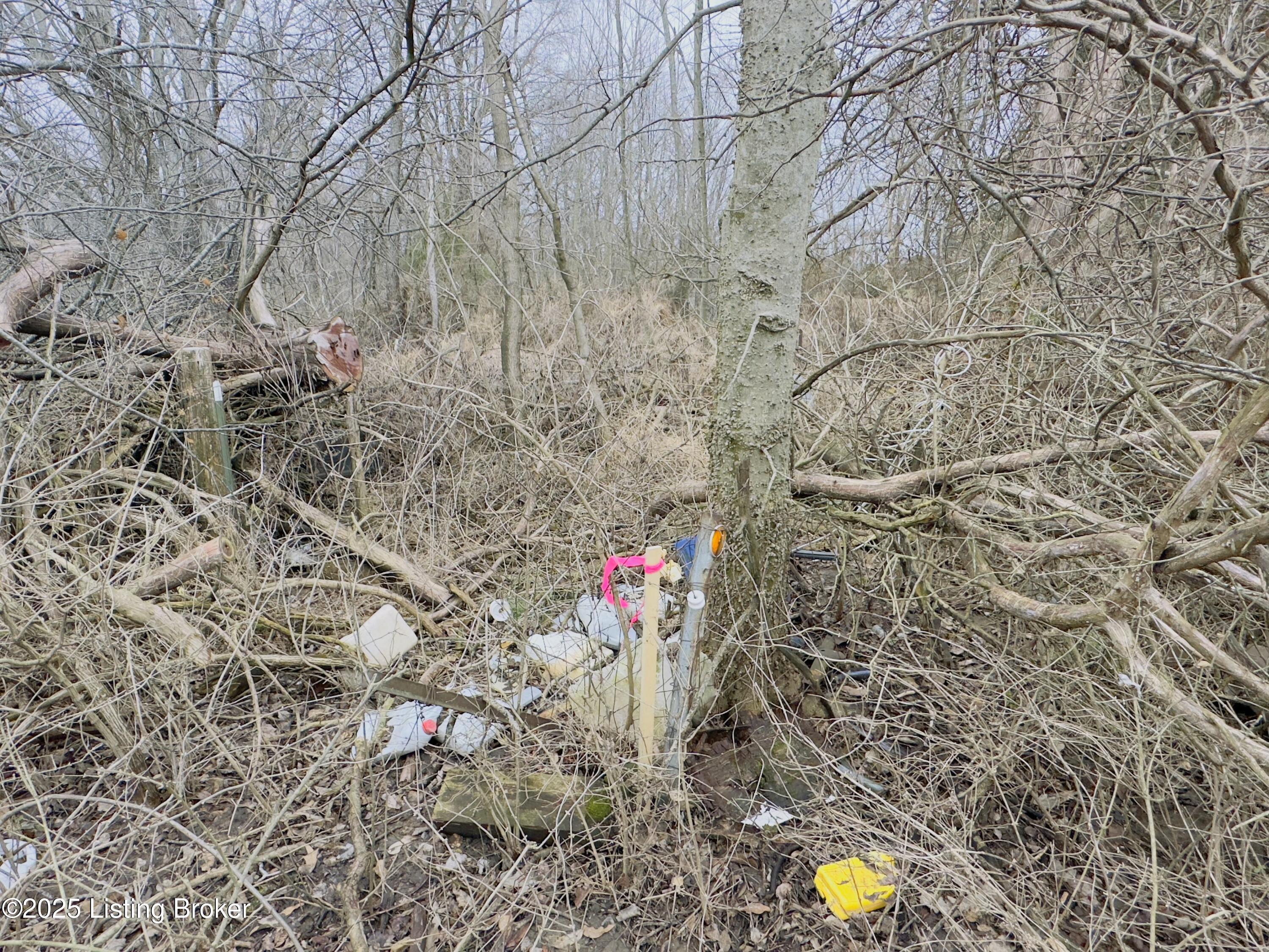 372 Lee Road Vine Grove, KY 40175 - Photo 9 of 9 tempImageGSzMZo
