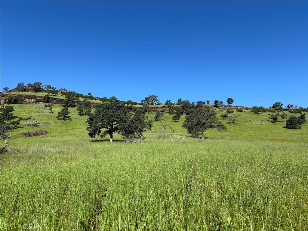 0 Cobble Creek Road Oroville, CA 95965 - Photo 29 of 55 a view of a big yard with large trees