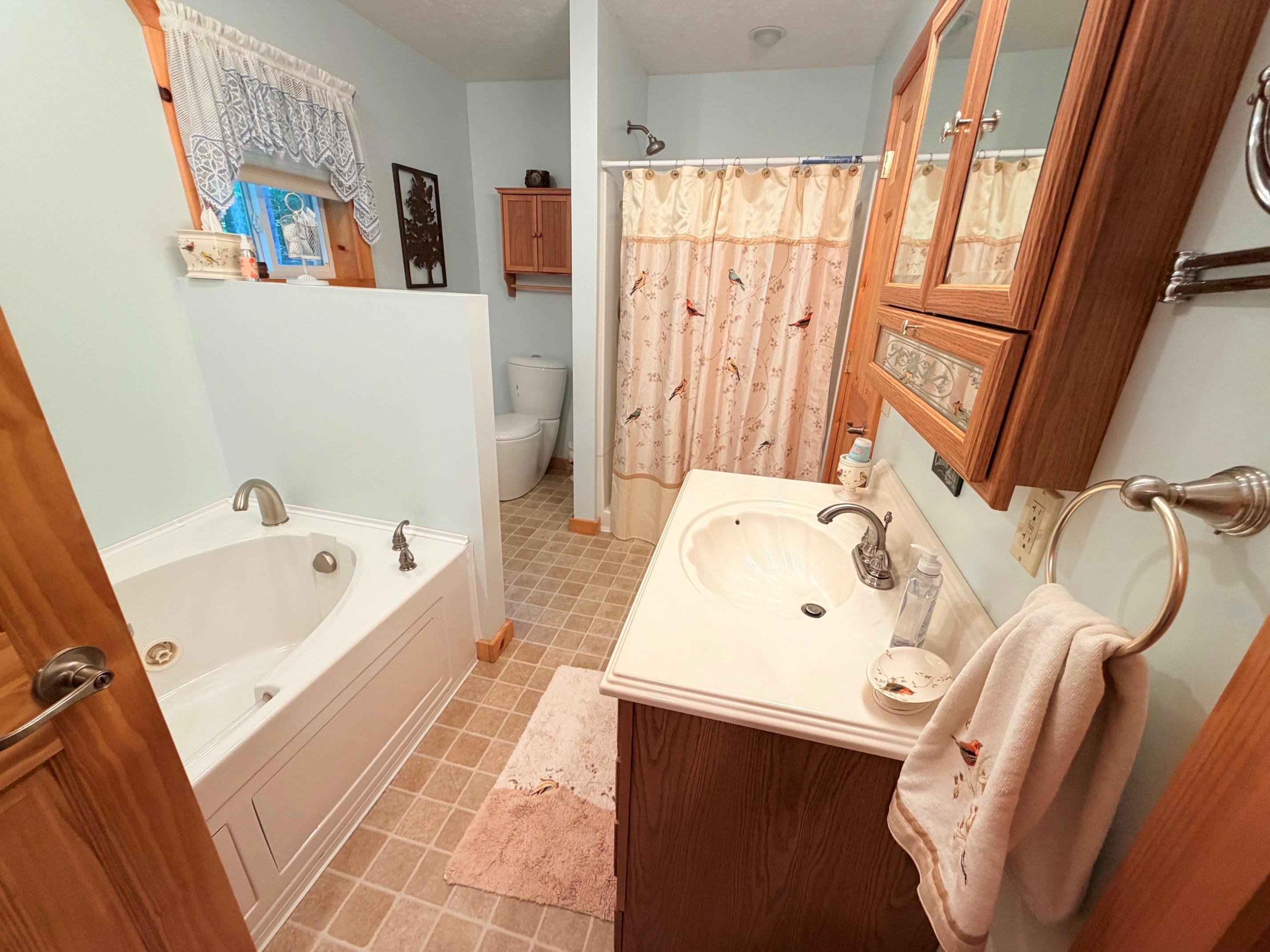 5020 Satterly Lake Road Mancelona, MI 49659 - Photo 18 of 61