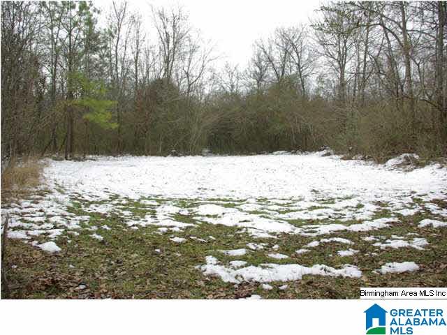 33 County Road, Unit 48 Oneonta, AL 35121 - Photo 15 of 33