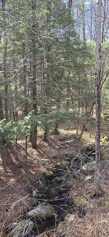360 Jacobs Ladder Road Becket, MA 01223 - Photo 2 of 7