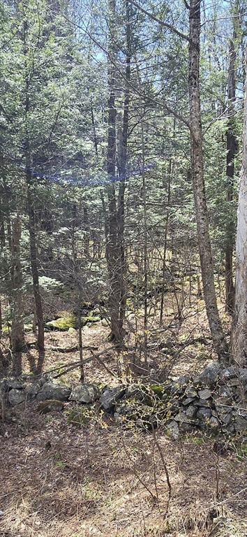 360 Jacobs Ladder Road Becket, MA 01223 - Photo 3 of 7