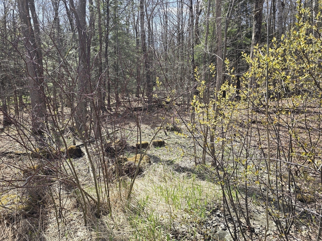 360 Jacobs Ladder Road Becket, MA 01223 - Photo 4 of 7