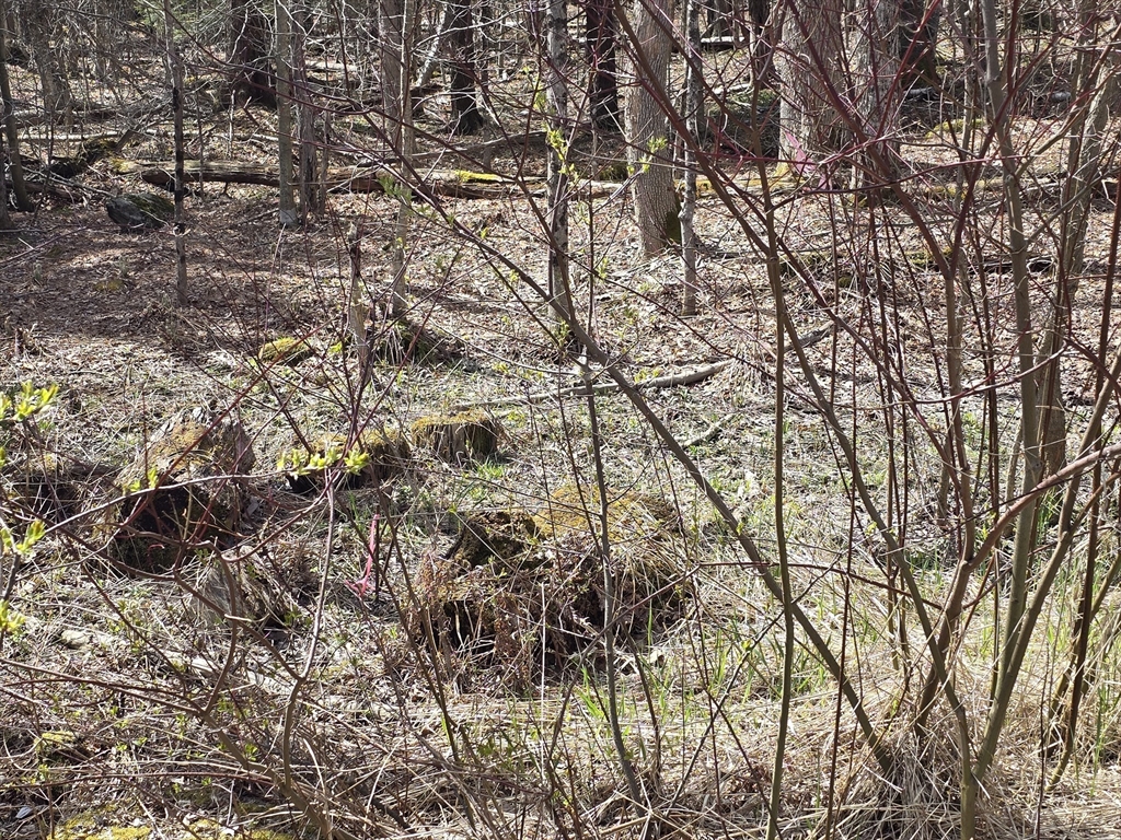 360 Jacobs Ladder Road Becket, MA 01223 - Photo 5 of 7