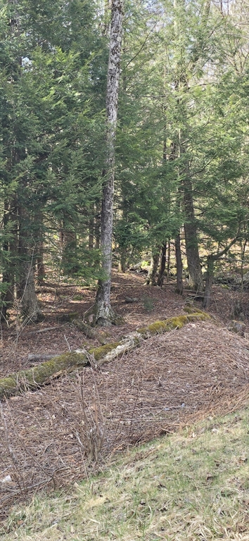 360 Jacobs Ladder Road Becket, MA 01223 - Photo 6 of 7