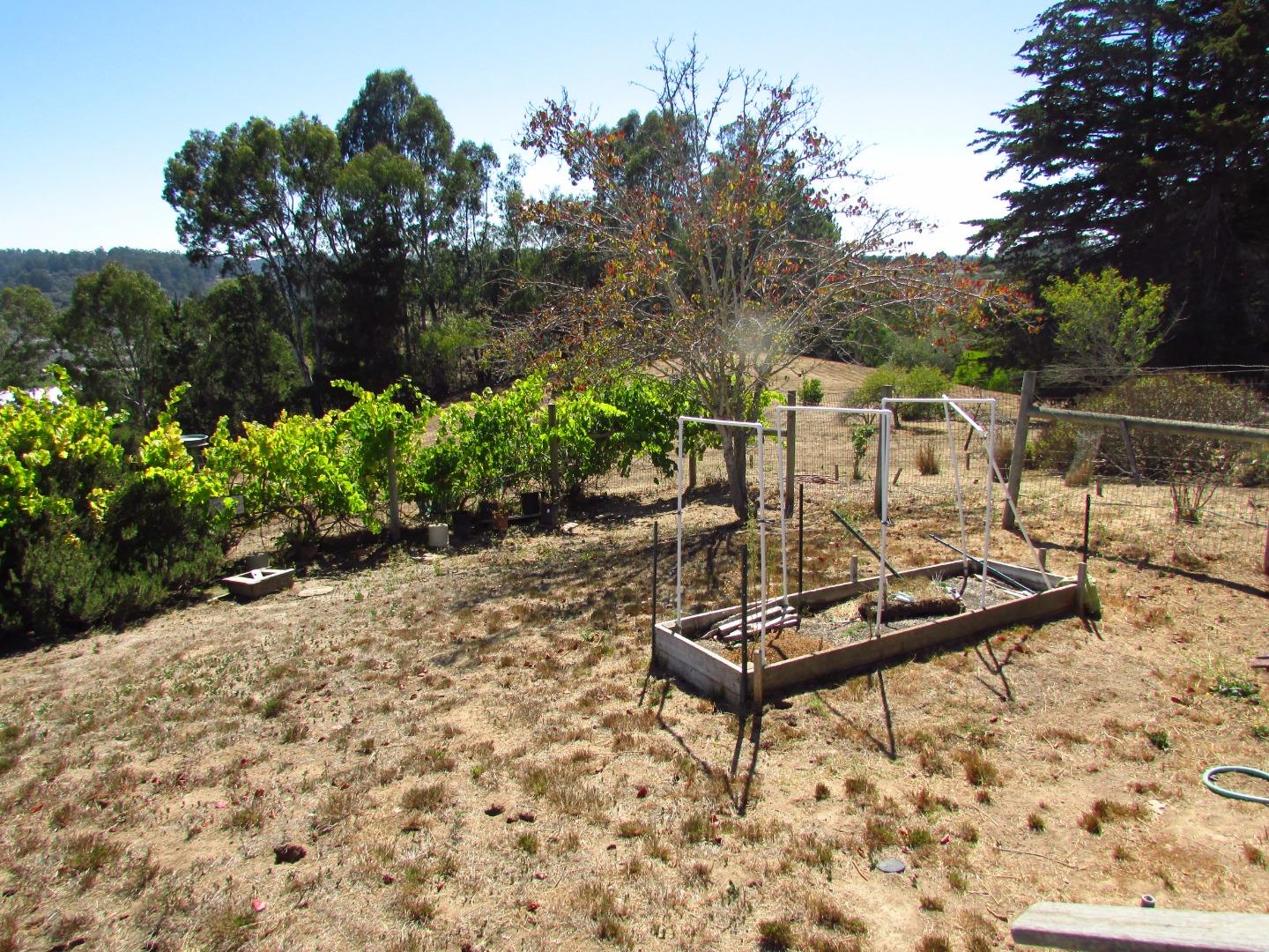 3355 Conant Lane Watsonville, CA 95076 - Photo 38 of 52 a view of a backyard with sitting area