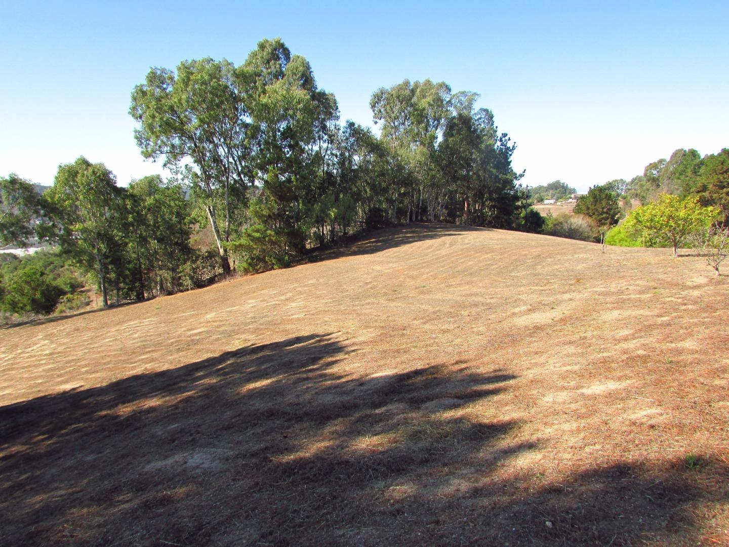 3355 Conant Lane Watsonville, CA 95076 - Photo 49 of 52 a view of a backyard of a house