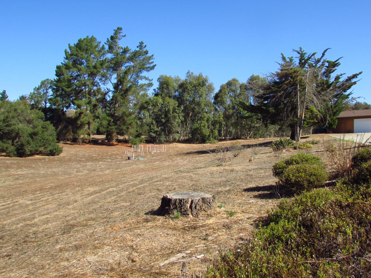 3355 Conant Lane Watsonville, CA 95076 - Photo 50 of 52 a backyard of a house with lots of green space