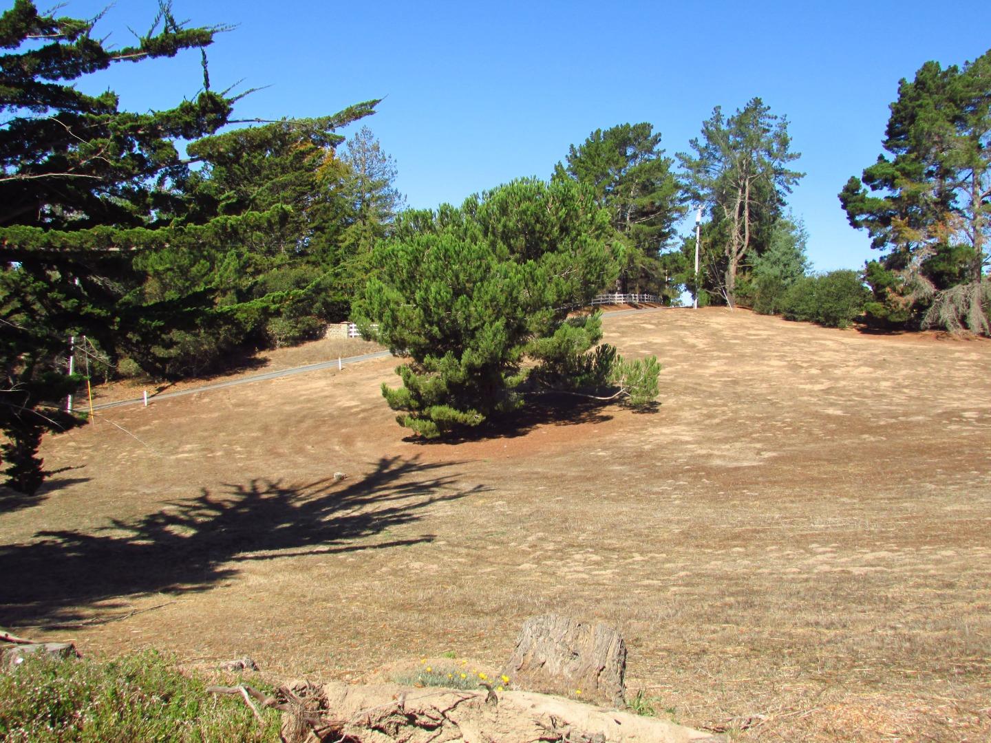 3355 Conant Lane Watsonville, CA 95076 - Photo 51 of 52 a view of a yard with trees