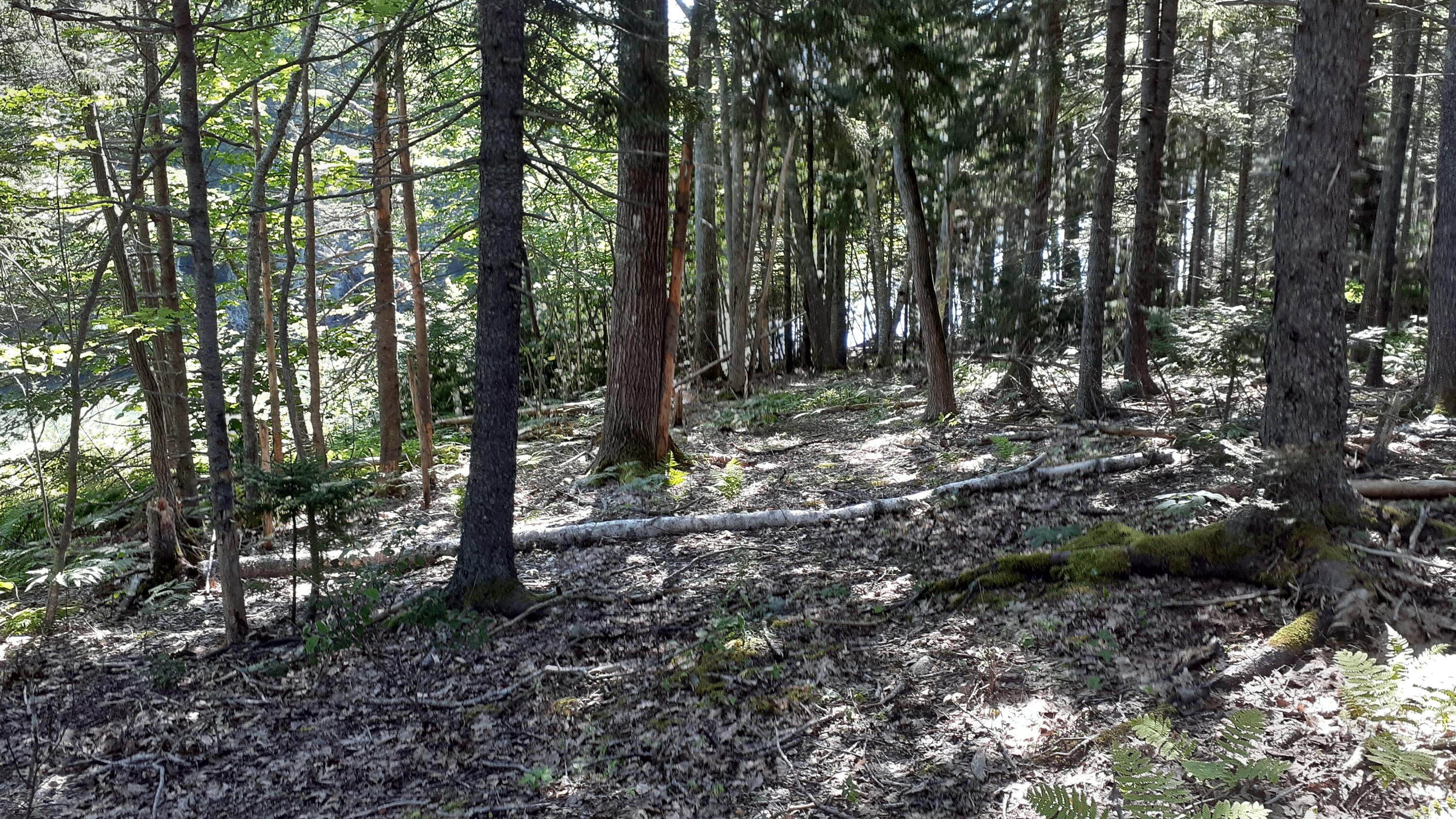 772 Pleasant Point Road Cushing, ME 04563 - Photo 5 of 13 water front