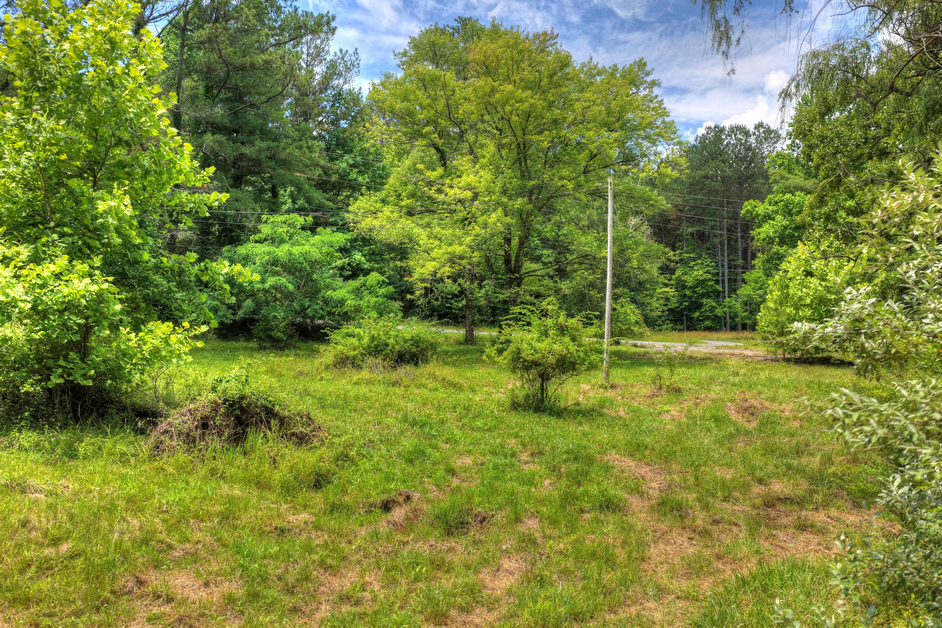 526 Airport Road Copperhill, TN 37317 - Photo 8 of 28 Airport Rd Byrd Property (7)