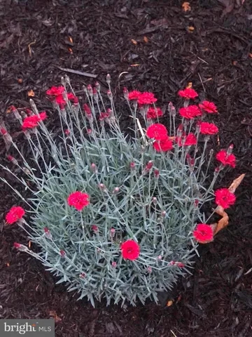 $3,600 | 20709 Riptide Square, Sterling, VA 20165