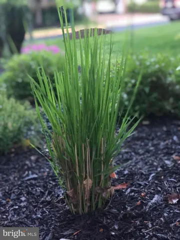 $3,600 | 20709 Riptide Square, Sterling, VA 20165