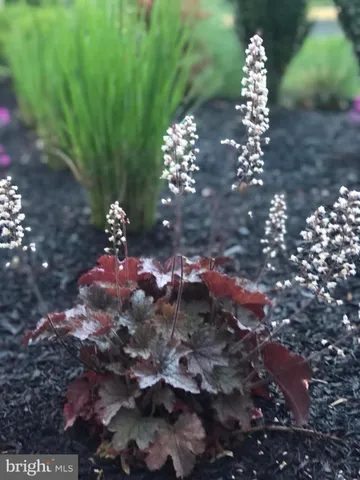 $3,600 | 20709 Riptide Square, Sterling, VA 20165