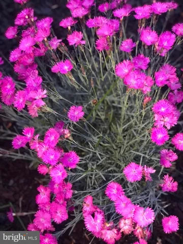 $3,600 | 20709 Riptide Square, Sterling, VA 20165