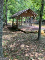 0 Poplar Place Wedowee, AL 36278 - Photo 2 of 11