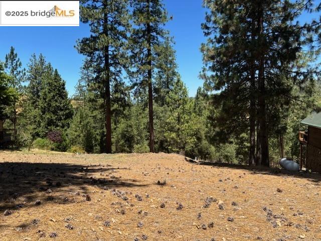 19364 Ferretti Road Groveland, CA 95321 - Photo 1 of 5 View of woods