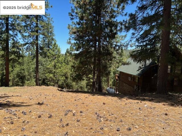 19364 Ferretti Road Groveland, CA 95321 - Photo 2 of 5 View of yard