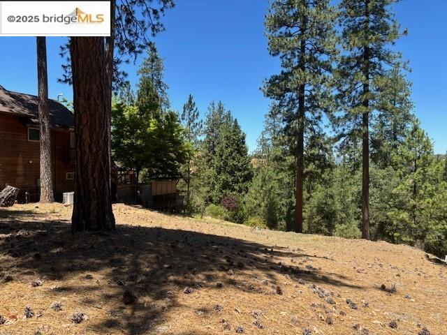 19364 Ferretti Road Groveland, CA 95321 - Photo 3 of 5 View of yard