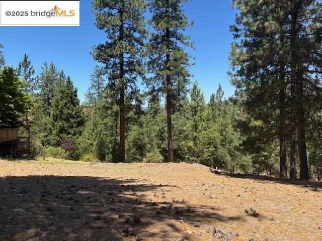 19364 Ferretti Road Groveland, CA 95321 - Photo 4 of 5 View of woods
