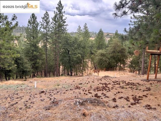 19364 Ferretti Road Groveland, CA 95321 - Photo 5 of 5 View of woods