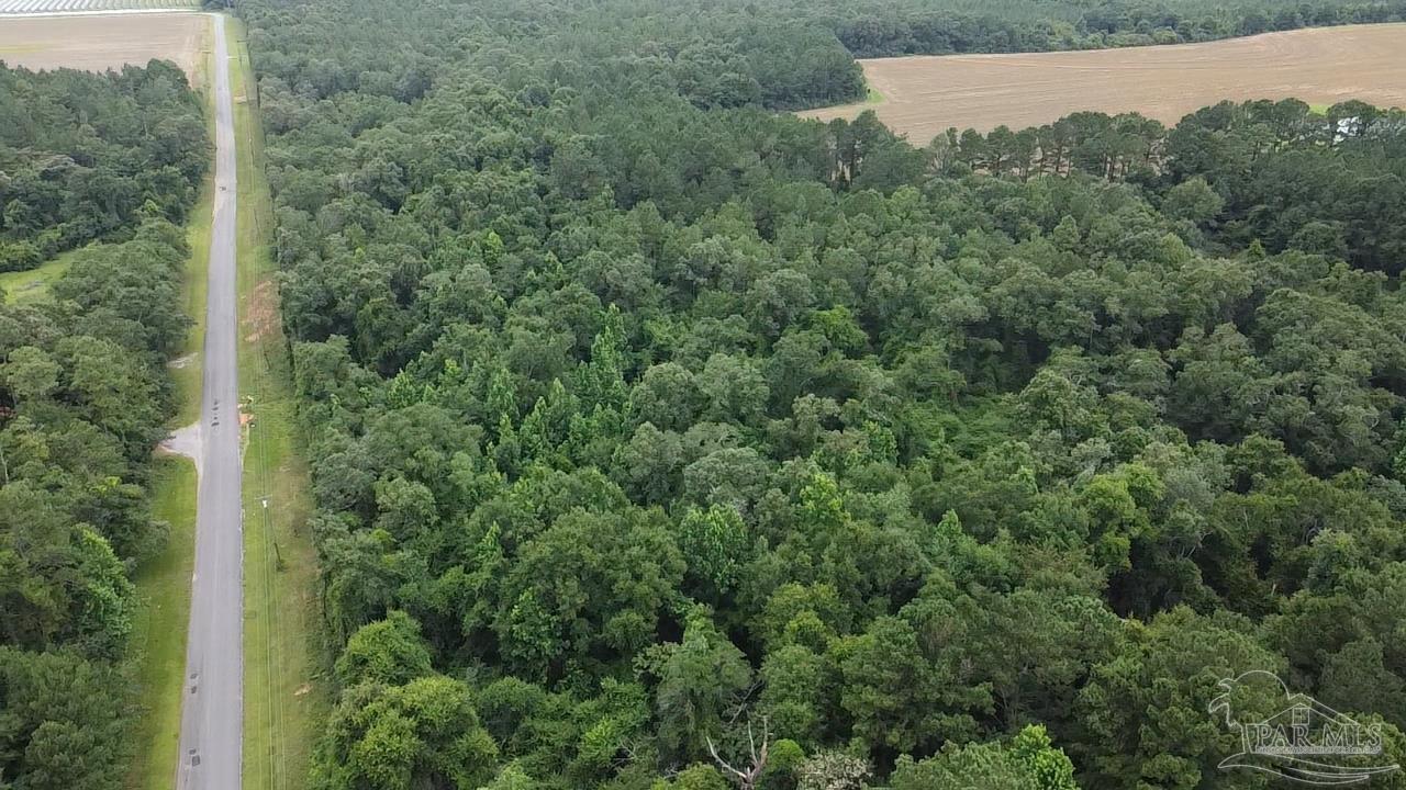 7600 Bratt Road Century, FL 32535 - Photo 28 of 41