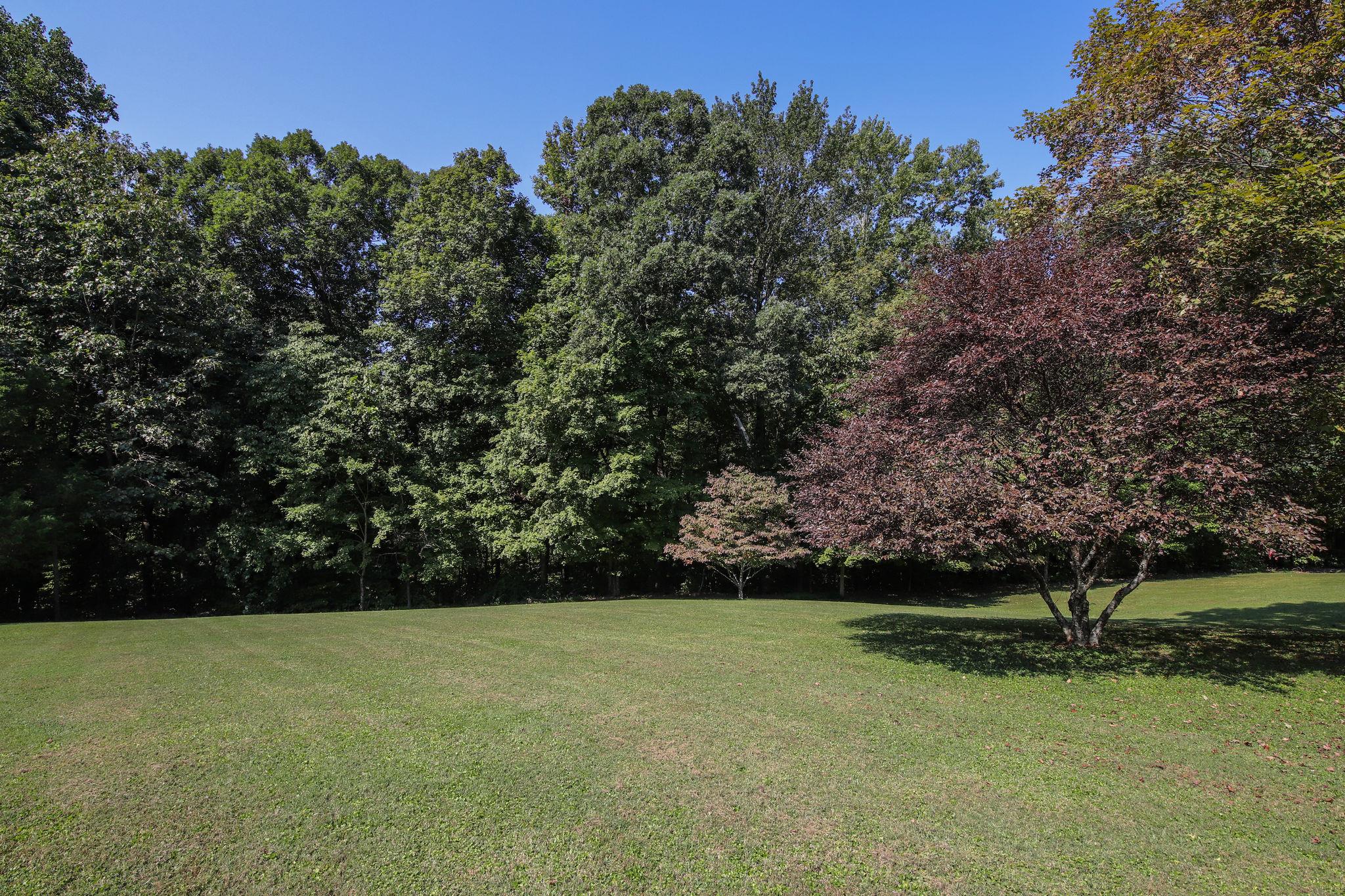1918 Lake Road Greenbrier, TN 37073 - Photo 30 of 30 Just a glimpse of the rear yard. This yard is beautifully maintained and secluded.