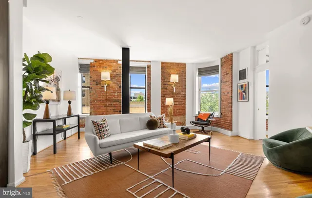 a living room with furniture and a potted plant