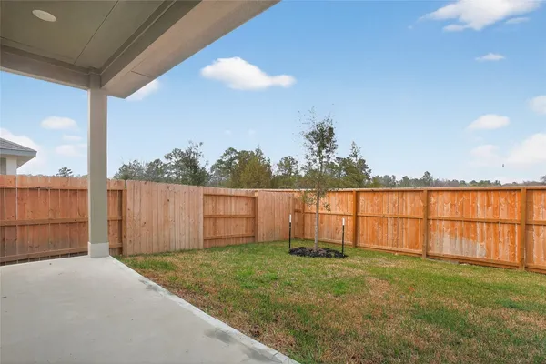$2,650 | 17882 Stone Ter Court, Montgomery, TX 77316