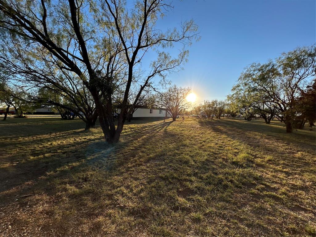 460 Mulberry Road Merkel, TX 79536 - Photo 7 of 8 a view of outdoor space and yard