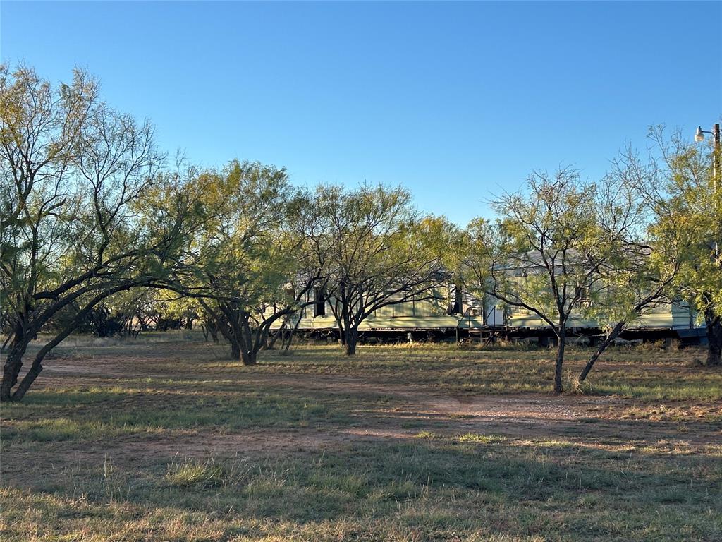 460 Mulberry Road Merkel, TX 79536 - Photo 8 of 8 a view of road with trees