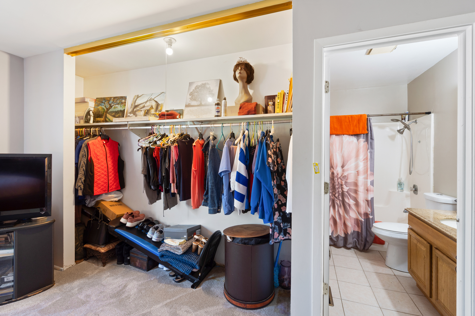 111 Deerpath Road Matteson, IL 60443 - Photo 14 of 23 a view of a living room and bathroom