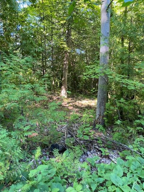 Lakeview Road Ellison Bay, WI 54210 - Photo 14 of 23 Gallery Image 14