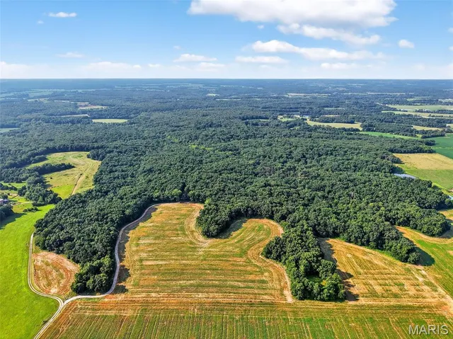 $836,496 | 116.18 Acres Highway, Bellflower, MO 63333