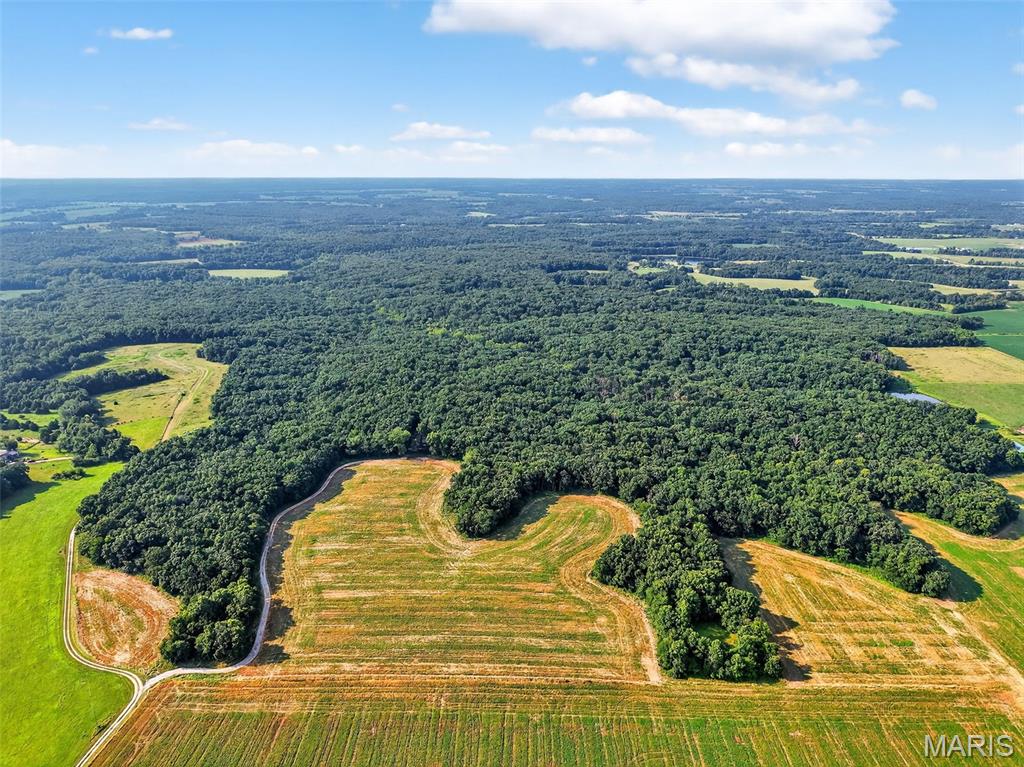 116.18 Acres Highway Bellflower, MO 63333 - Photo 1 of 28