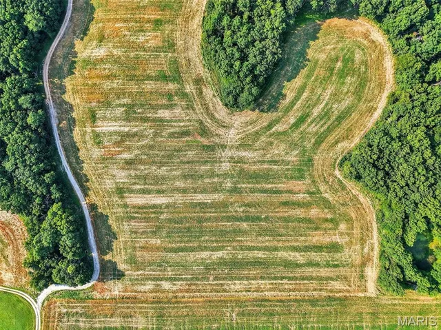 $836,496 | 116.18 Acres Highway, Bellflower, MO 63333