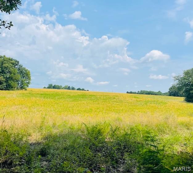 116.18 Acres Highway Bellflower, MO 63333 - Photo 12 of 28