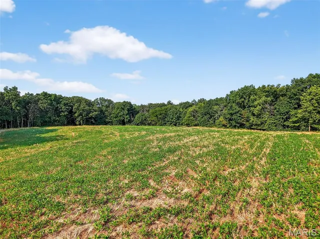 $836,496 | 116.18 Acres Highway, Bellflower, MO 63333