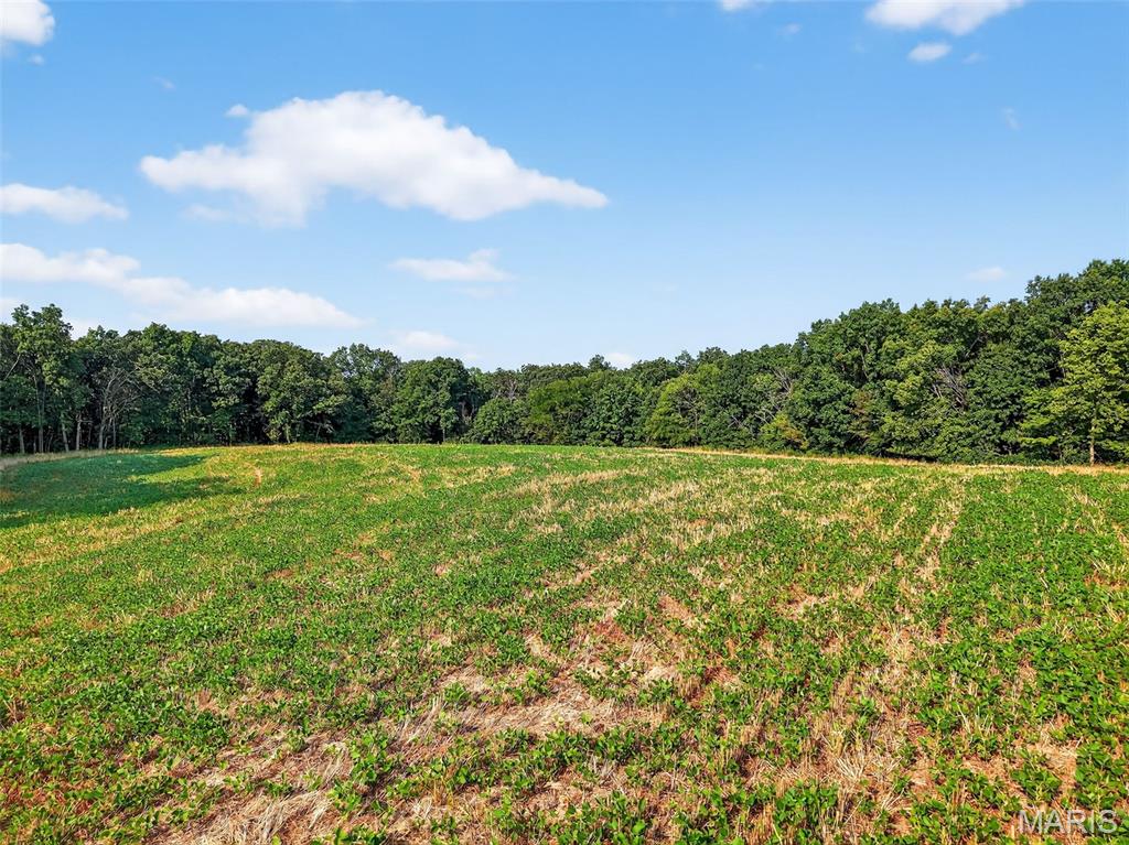 116.18 Acres Highway Bellflower, MO 63333 - Photo 13 of 28