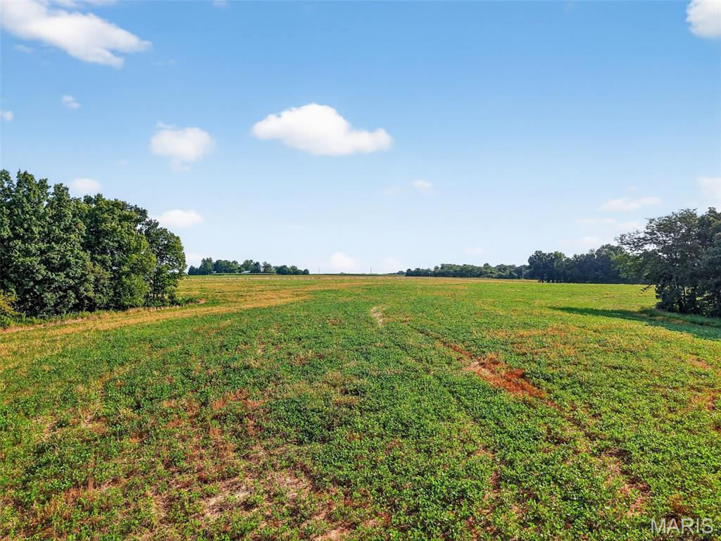 116.18 Acres Highway Bellflower, MO 63333 - Photo 14 of 28