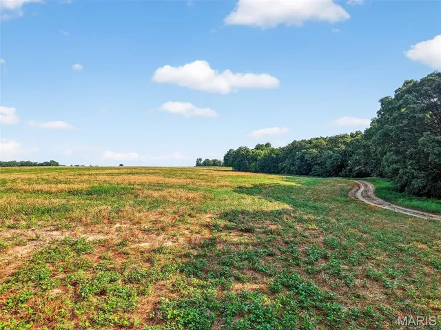 $836,496 | 116.18 Acres Highway, Bellflower, MO 63333
