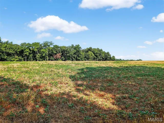 $836,496 | 116.18 Acres Highway, Bellflower, MO 63333