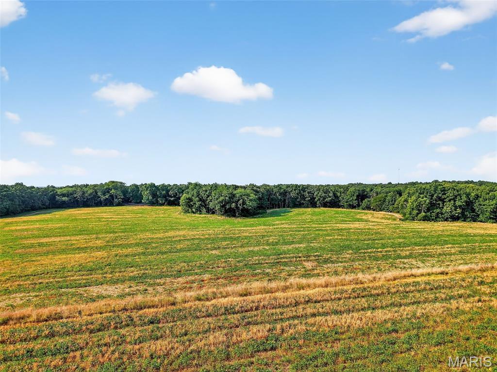 116.18 Acres Highway Bellflower, MO 63333 - Photo 17 of 28