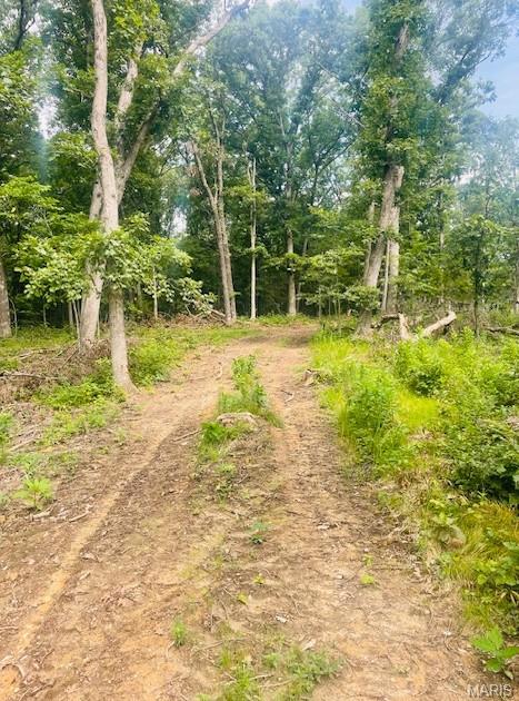 116.18 Acres Highway Bellflower, MO 63333 - Photo 19 of 28