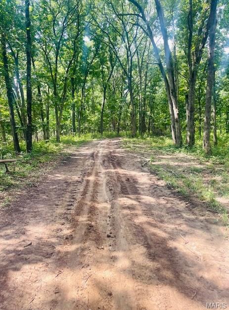 116.18 Acres Highway Bellflower, MO 63333 - Photo 20 of 28