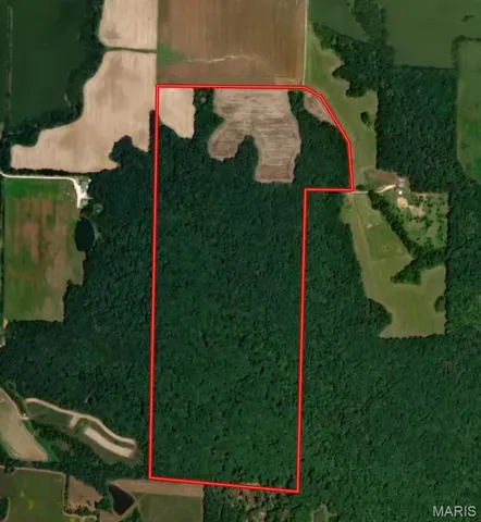 $836,496 | 116.18 Acres Highway, Bellflower, MO 63333