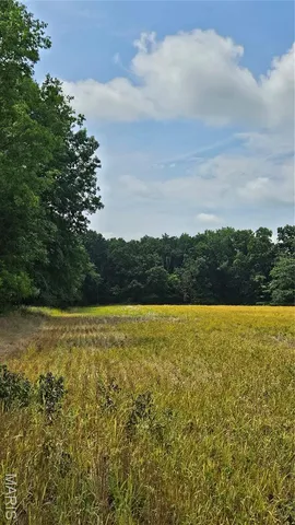 $836,496 | 116.18 Acres Highway, Bellflower, MO 63333