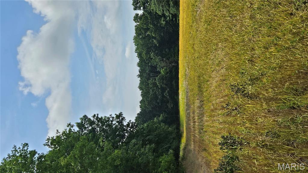 116.18 Acres Highway Bellflower, MO 63333 - Photo 21 of 28