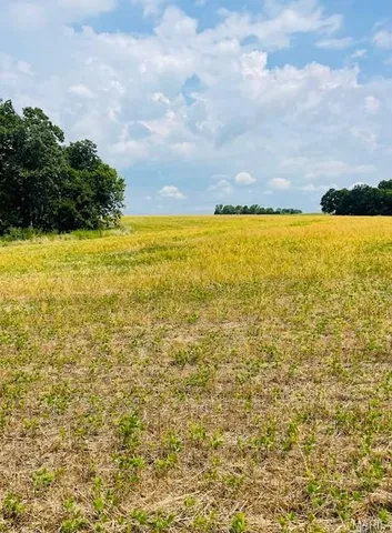 $836,496 | 116.18 Acres Highway, Bellflower, MO 63333