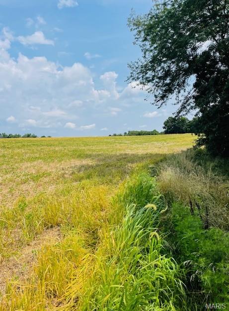 116.18 Acres Highway Bellflower, MO 63333 - Photo 23 of 28